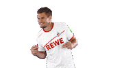 simon terodde soccer Sticker by 1. FC Köln