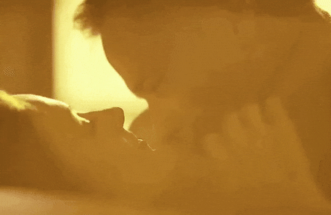 Gael Garcia Bernal Romance GIF