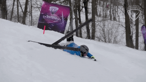 Alpine Skiing Champions GIF by All-Round Champion