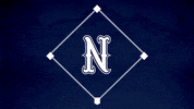 Baseball Softball GIF by Nevada Wolf Pack