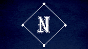 Baseball Softball GIF by Nevada Wolf Pack