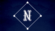 Baseball Softball GIF by Nevada Wolf Pack