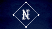 Baseball Softball GIF by Nevada Wolf Pack