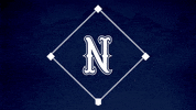 Baseball Softball GIF by Nevada Wolf Pack