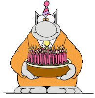 Cat Celebration Sticker