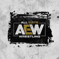 las vegas wrestling GIF by ALL SEEING EYES