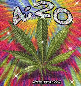happy willie nelson GIF