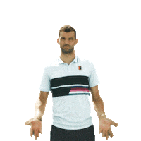 grigor dimitrov Sticker by Wilson Tennis