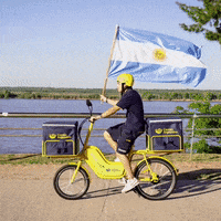World Cup Argentina GIF by Correo Argentino