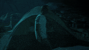 GIF by Fear the Walking Dead