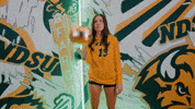 Volleyball Bison GIF by NDSU Athletics