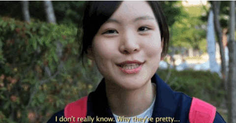 korean GIF