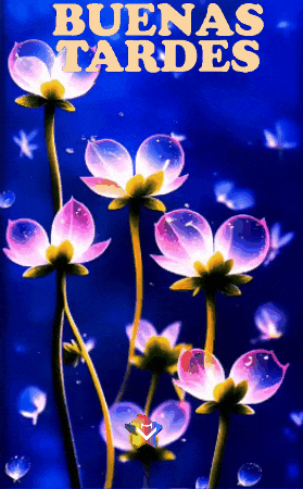 Flores Saludos GIF by Murcianys LLC