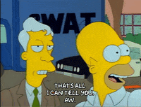 Season 1 GIF by The Simpsons