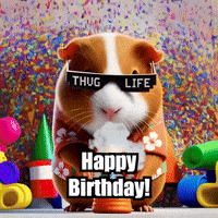 Happy Birthday Party GIF by Guinea Gambino