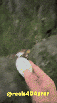Monkey GIF