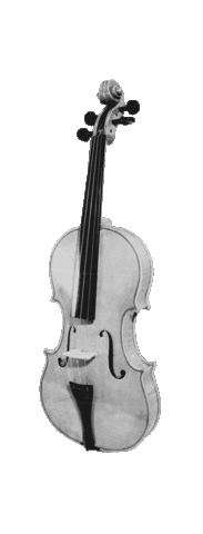 Fun Violin Sticker by premiertone