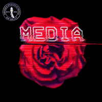 nycDSA art media labor socialism GIF