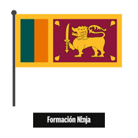 Sri Lanka Flag Sticker by Formación Ninja