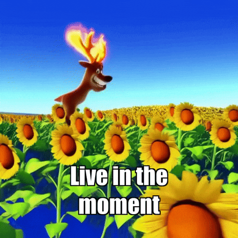 Fire Glow GIF by elkijahspark