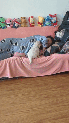 madmoizelledotcom giphyupload GIF