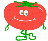 tomato STICKER