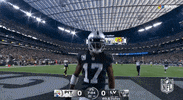 National Football League GIF by NFL