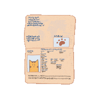 Cat Travel Sticker