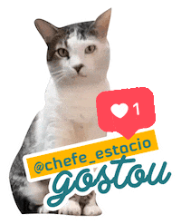 Cuiaba Sticker by Clínica Pet Market