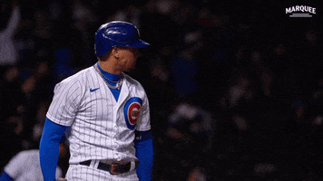 Cubs Elmago GIF by Marquee Sports Network