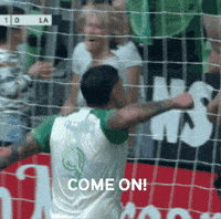 Vamos Lets Go GIF by Major League Soccer