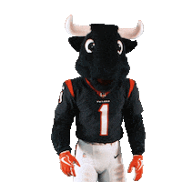 Get Loud Football Sticker by Houston Texans