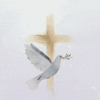 Jesus Christ Truth GIF