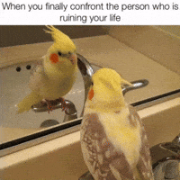 Bird When You Realize GIF