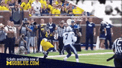 GIF by Michigan Athletics