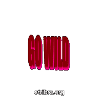 Go Wild Neon Sticker by stribra