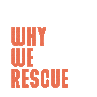 wagmorpets dog puppy dogs pets Sticker