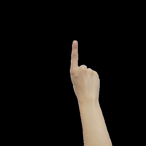 Studiocooliejoelie giphygifmaker strudiocooliejoelie GIF