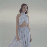 New York Fashion Week Vivienne Hu GIF by NYFW: The Shows