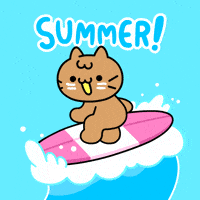 Happy Cat GIF by Mikitti