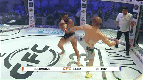 MonarchGlen17 giphyupload GIF