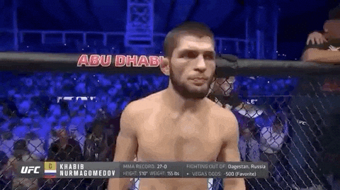 Khabib Nurmagomedov Sport GIF by UFC