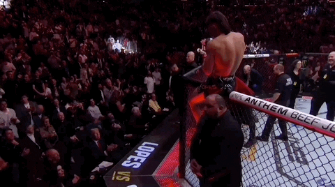 Mixed Martial Arts Win GIF by UFC