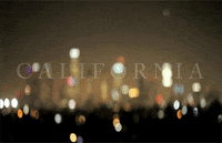 City Lights California GIF