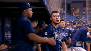 Regular Season Yes GIF by MLB