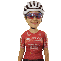 10 Anos Sticker by Audax Bike