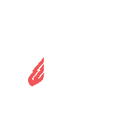fcbotosani football romania superliga liga 1 Sticker
