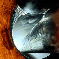 Intrinsicsmokehousebrewery barrel brewing intrinsic intrinsicbrewing GIF