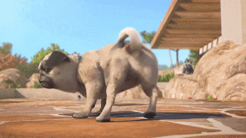 Shake It Off Move Your Body GIF by TeamTO