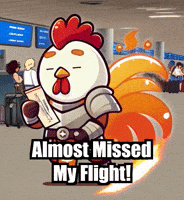 Travel Adventure GIF by Zorooster